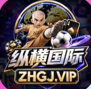 纵横国际